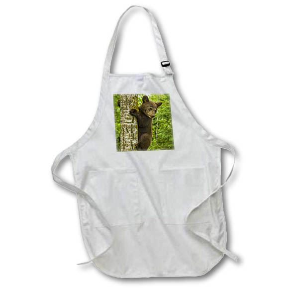 Apron - Minnesota, Pine County. Black bear cub climbing tree. Baby Animals