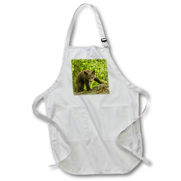 Apron - Minnesota, black bear cub, captive. Bears