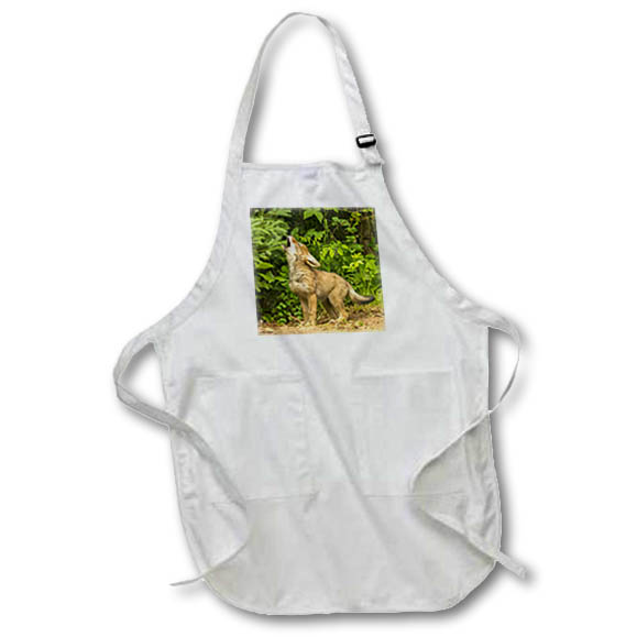 Apron - Minnesota, coyote pup howling at den, captive Baby Animals