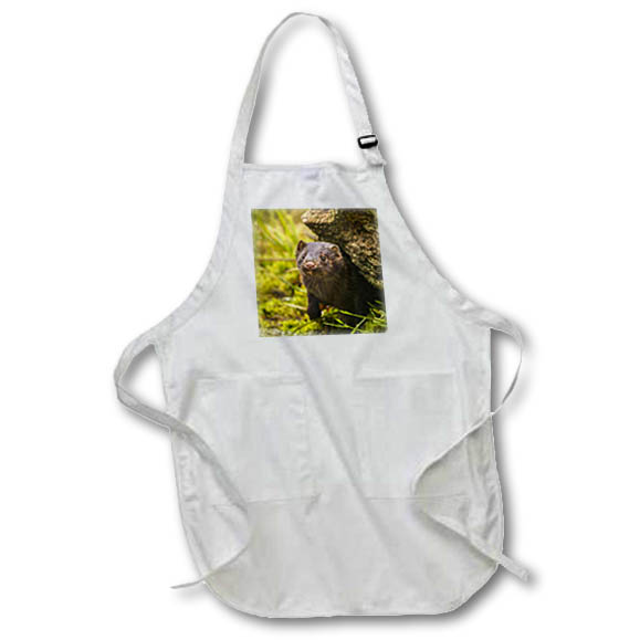 Apron - Minnesota, Pine County. Mink in log. Animals