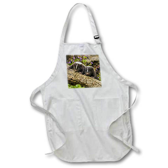 Apron - Minnesota, Pine County. Striped skunk kits on log. Animals