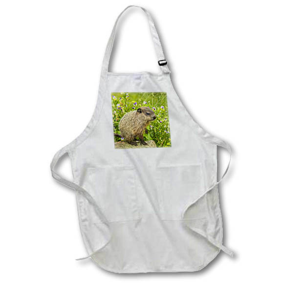 Apron - Minnesota, woodchuck kit, captive Animals
