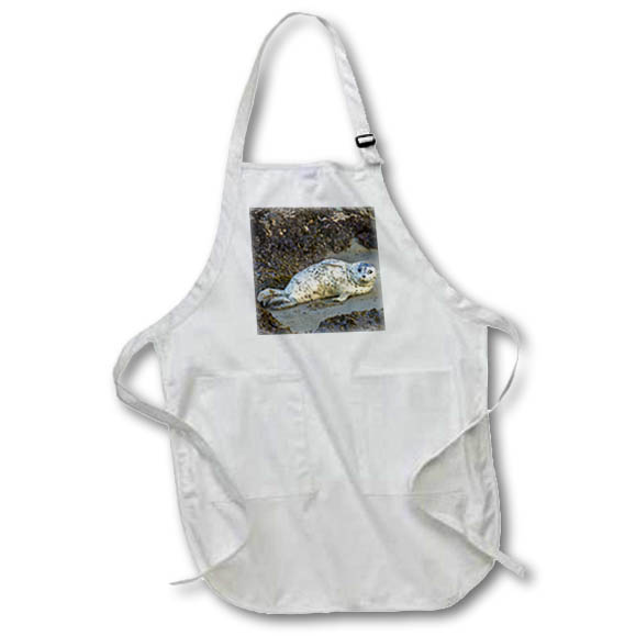 Apron - Oregon, Bandon Beach. Harbor seal on beach. Animals