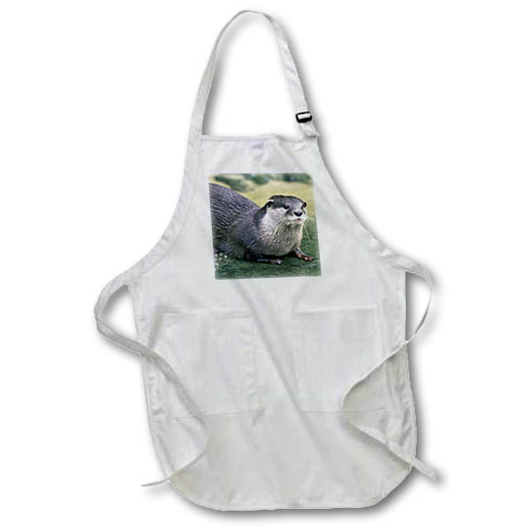 Apron - Peru, Manu River Region. Giant River Otter wildlife - SA17 GJE0116 - Gavriel Jecan Wildlife