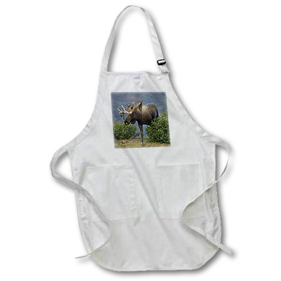 Apron - Moose wildlife, Denali NP, Alaska - US02 JMC0001 - Joe and Mary Ann McDonald Wildlife