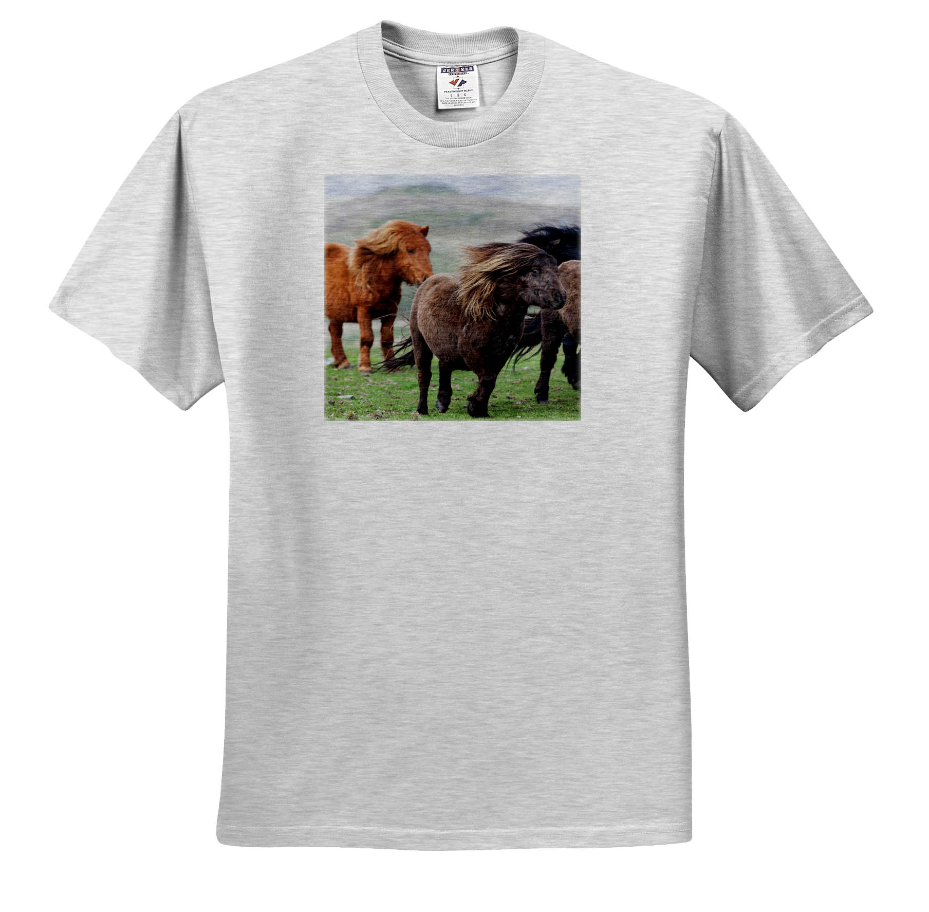 Maglietta 3dRose Shetland Pony Isole Shetland Scozia