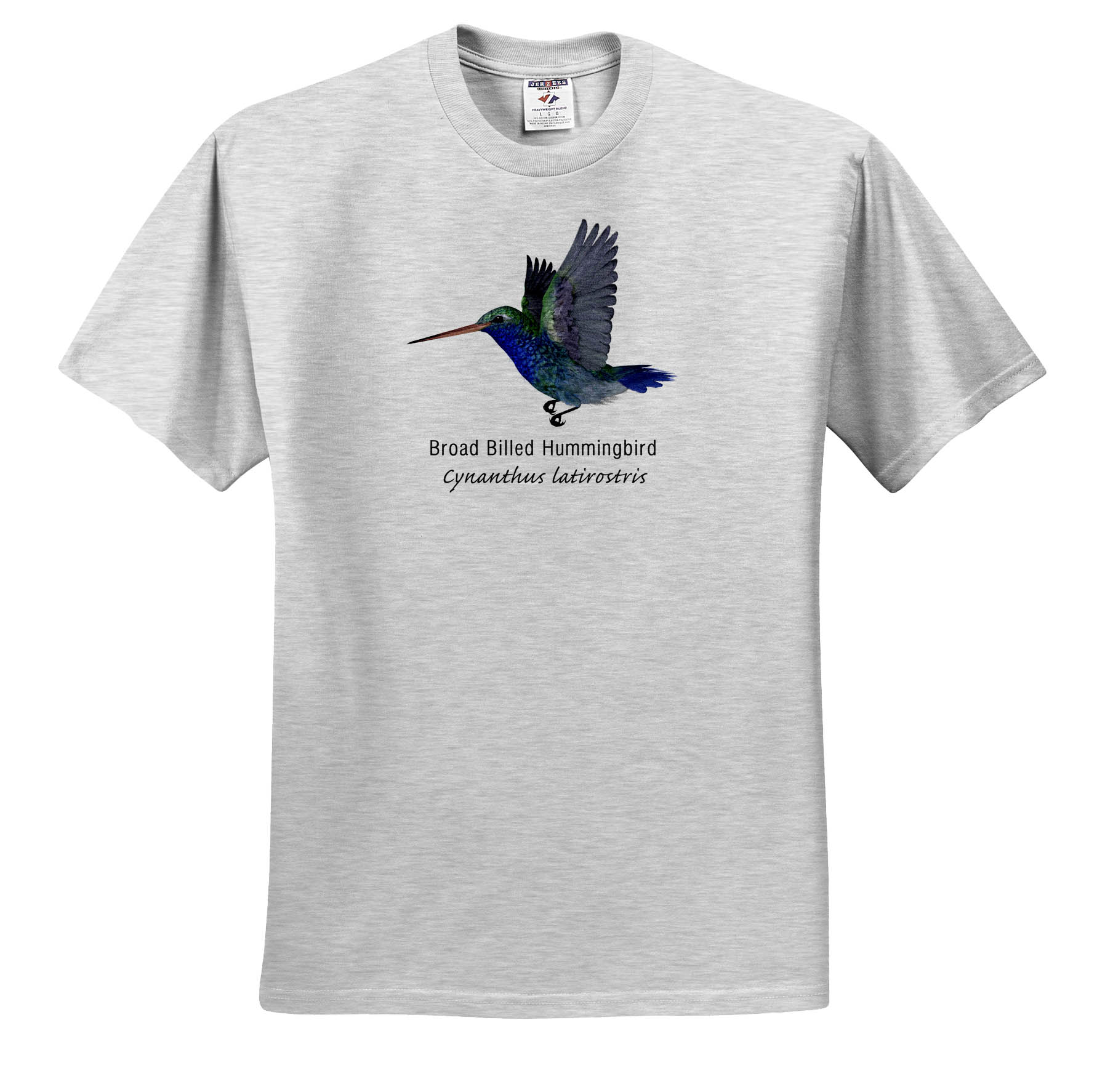 3dRose, Broad Billed Hummingbird, T-Shirt - Picture 5 of 73