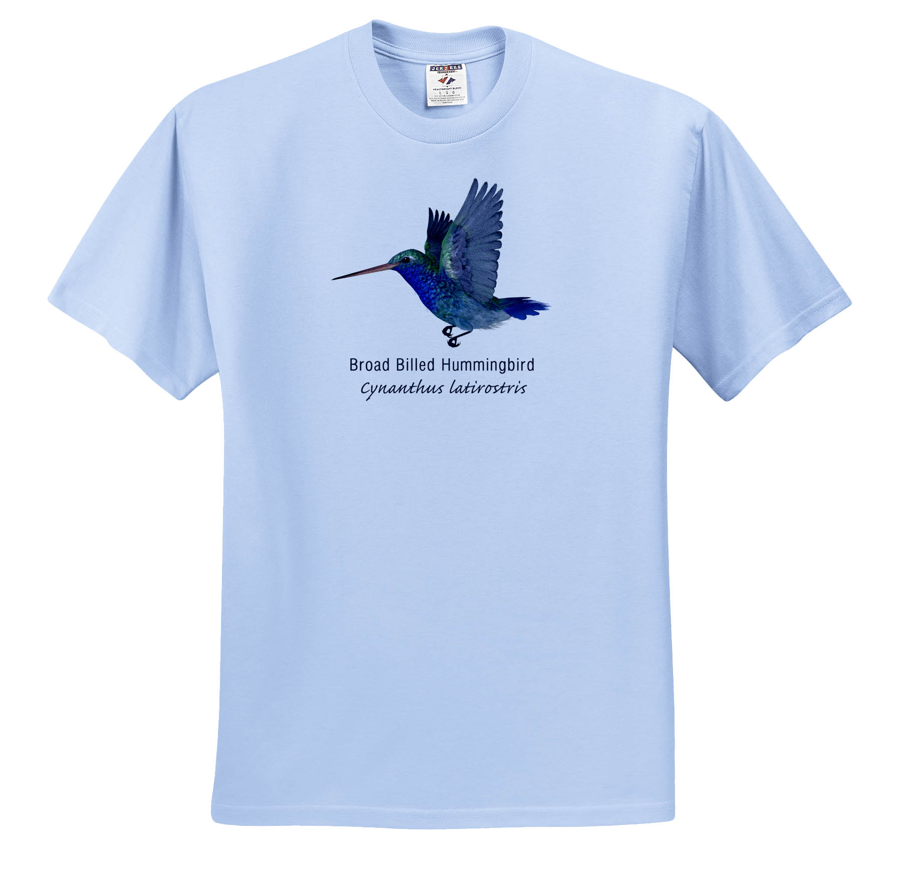 3dRose, Broad Billed Hummingbird, T-Shirt - Picture 2 of 73