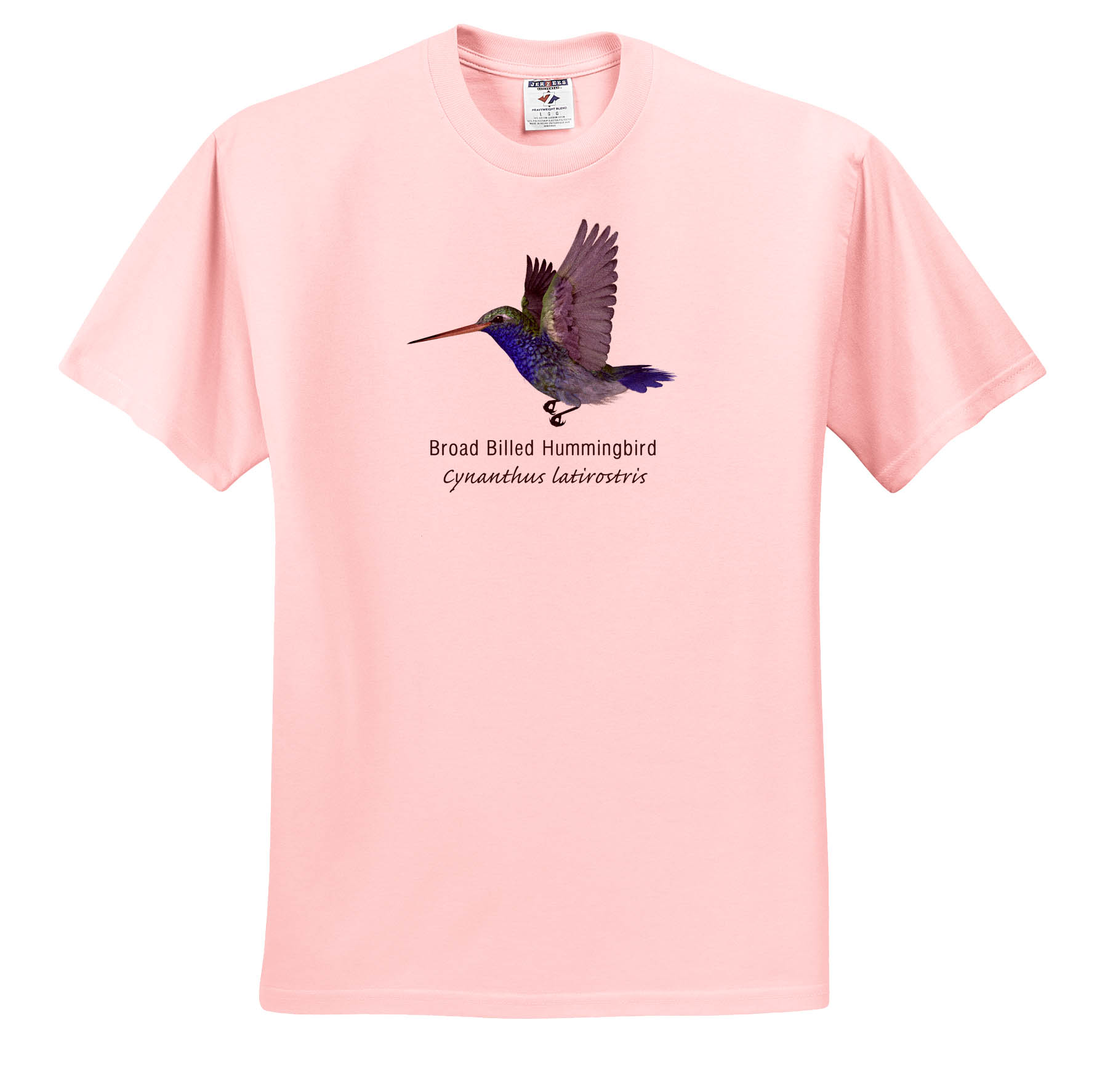 3dRose, Broad Billed Hummingbird, T-Shirt