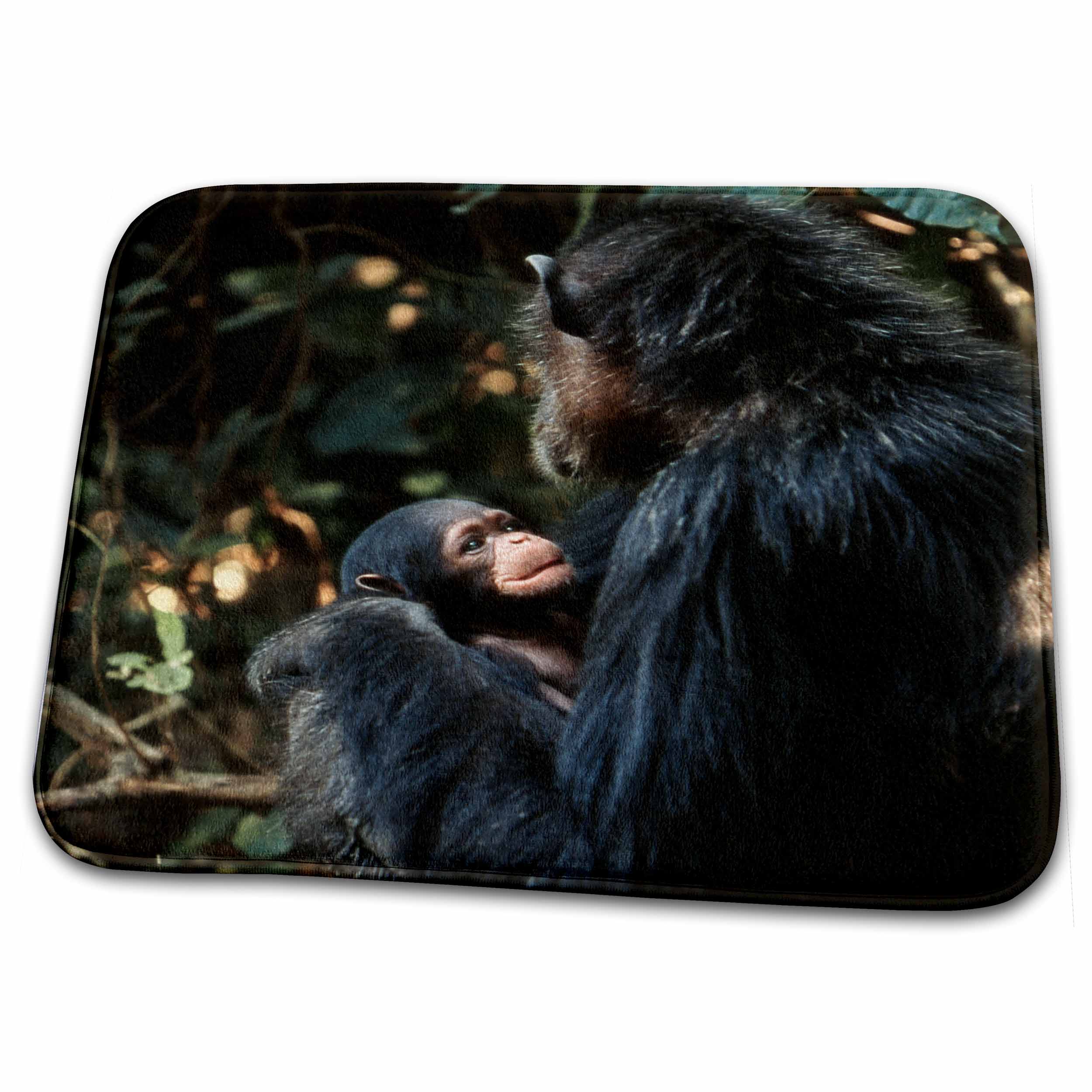 3dRose Africa, Female chimpanzee and infant, Pan troglodytes. - Dish Drying Mats (ddm-207014)