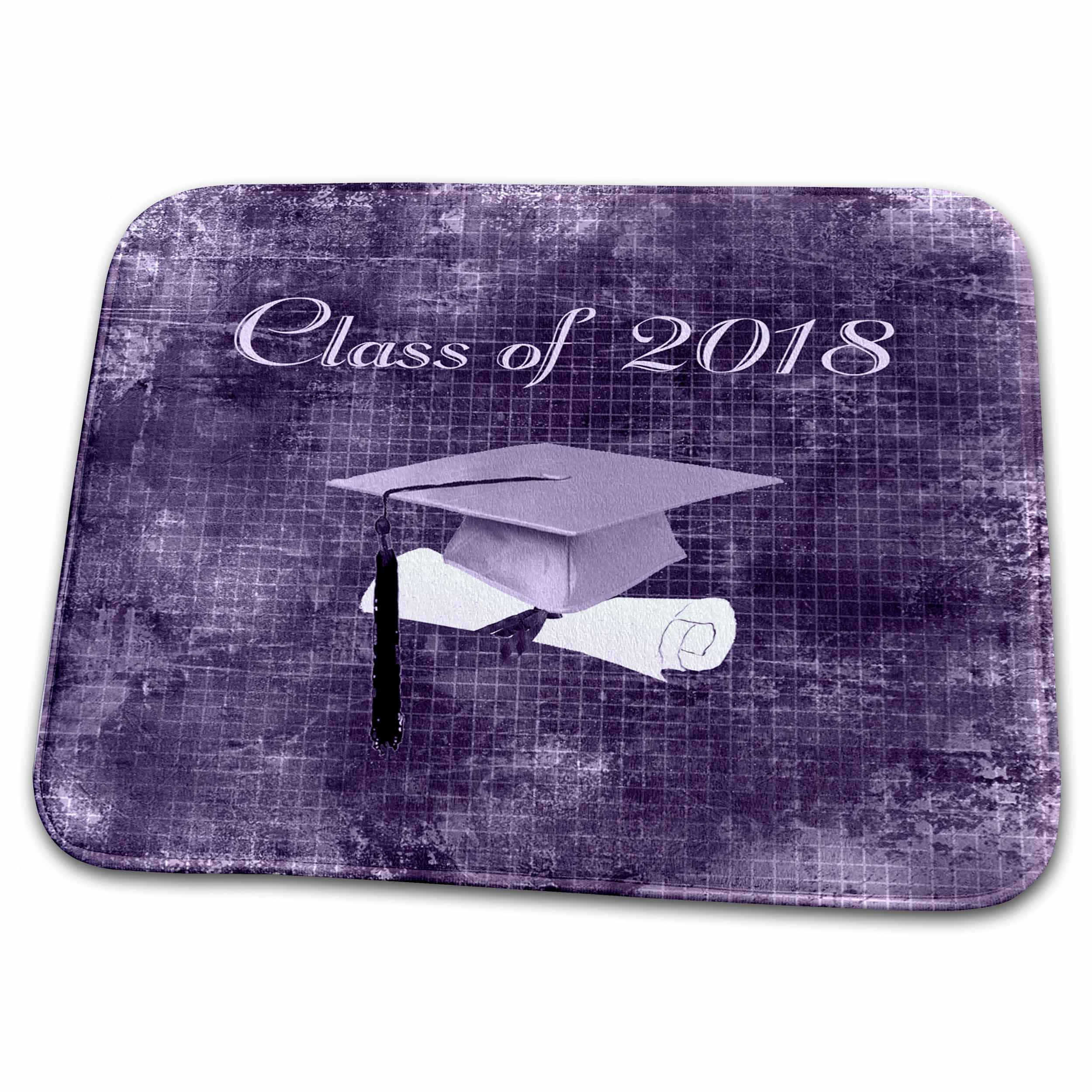 3dRose Pink Grad Cap on Diploma, Aged Graph Paper Look, Class of... - Dish Drying Mats (ddm-262845)