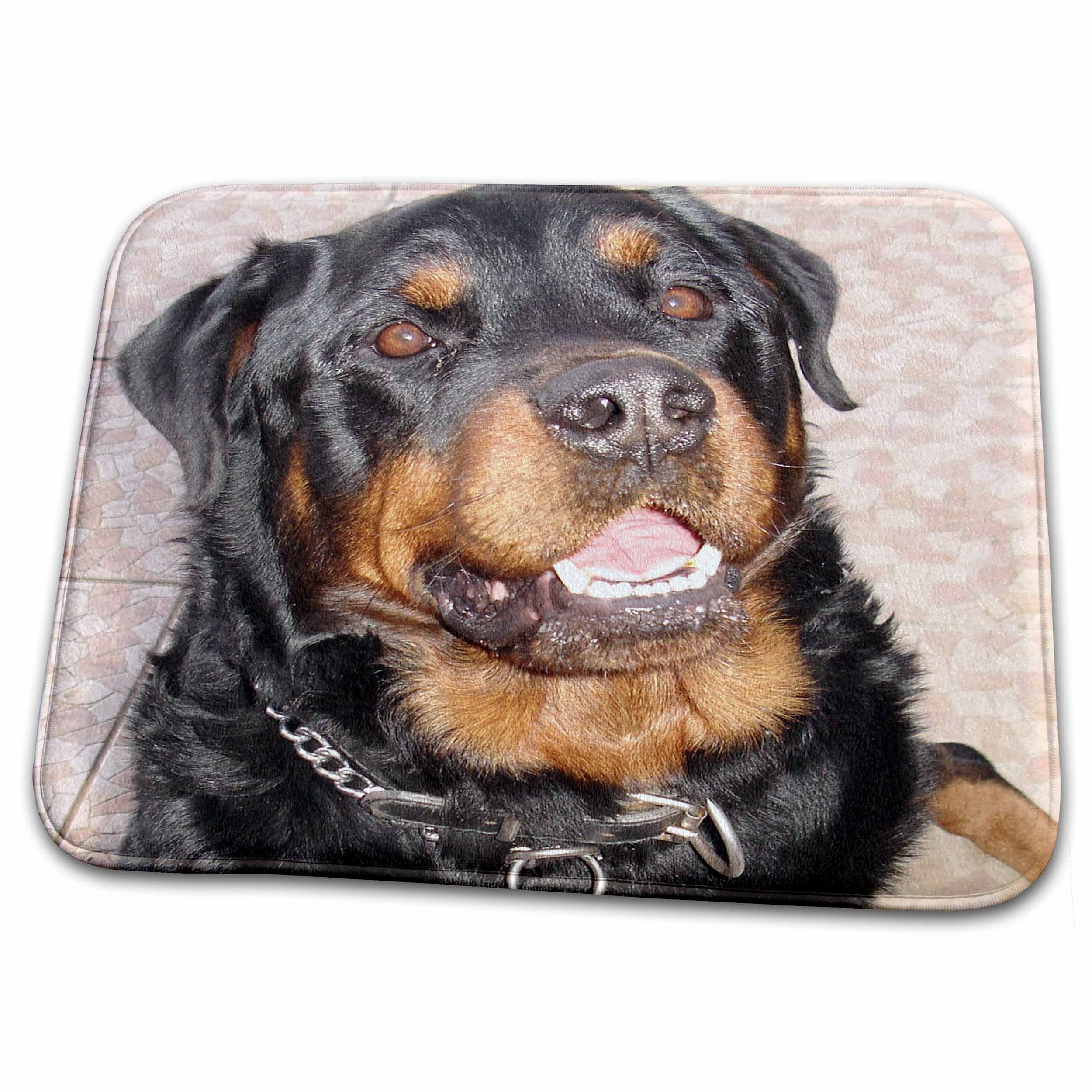 Dish Drying Mat - The Dog Father - rottweiler, rottweilers, rottie, rottie owner, rottweiler puppy, rottweiler puppies Photography - Rottweiler Puppies