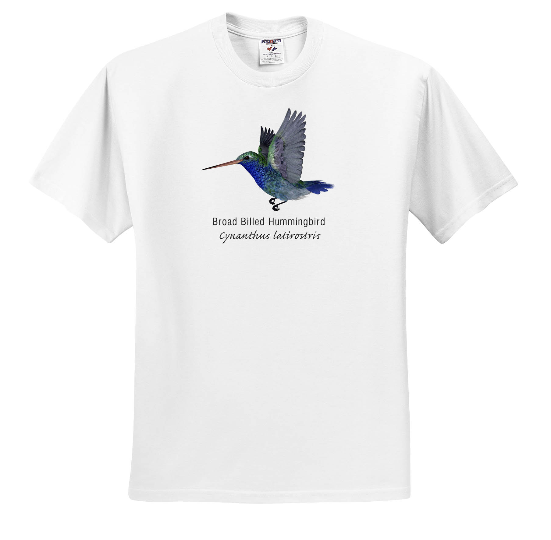 3dRose, Broad Billed Hummingbird, T-Shirt - Picture 3 of 73