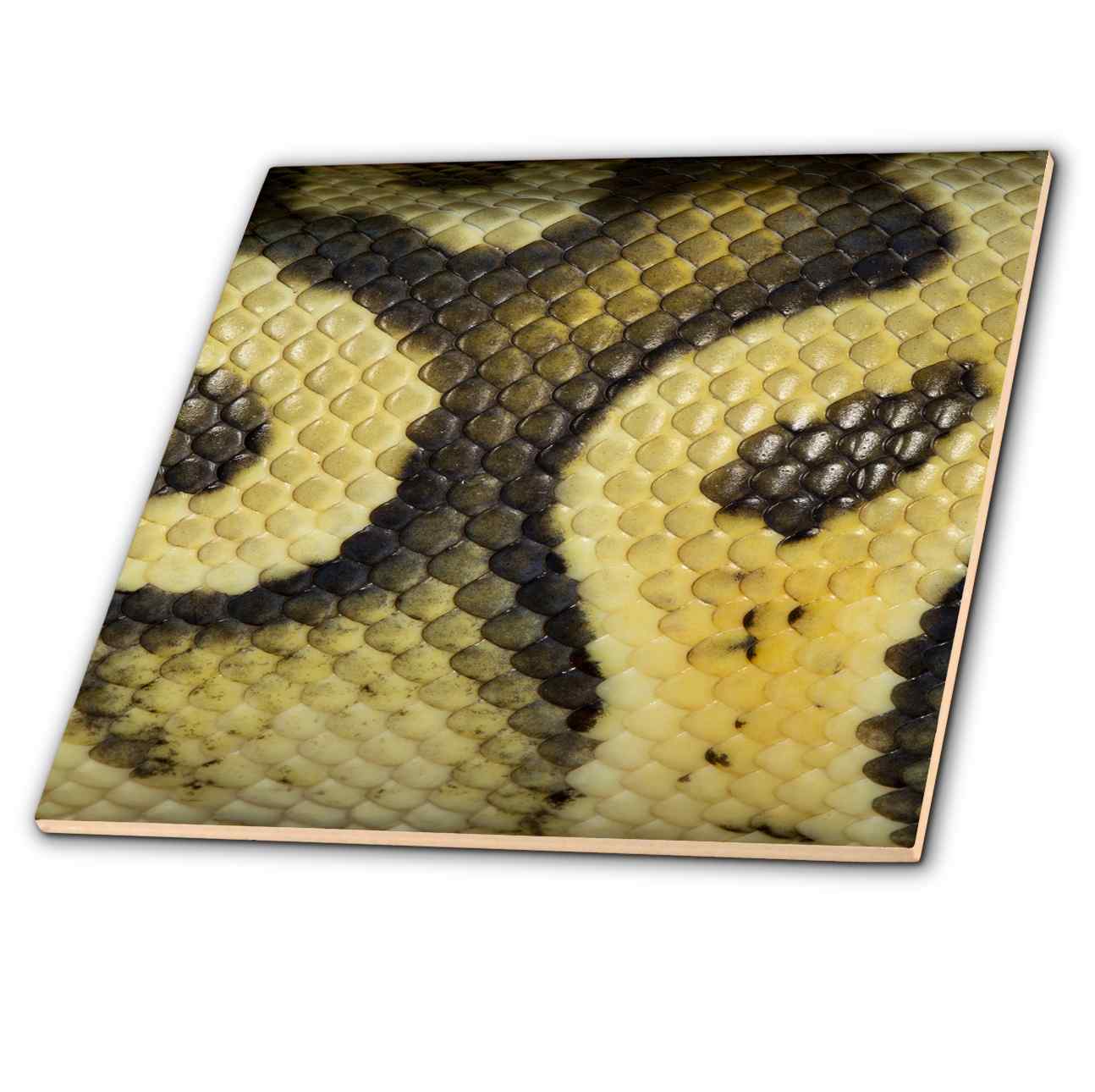 3dRose, Ball pythons., Tile and other Wholesale ball pythons for your store trending on Faire.